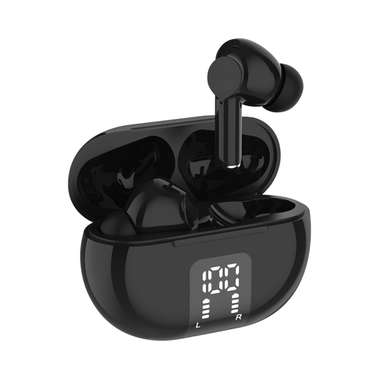 True Wireless Earbuds with LCD Case