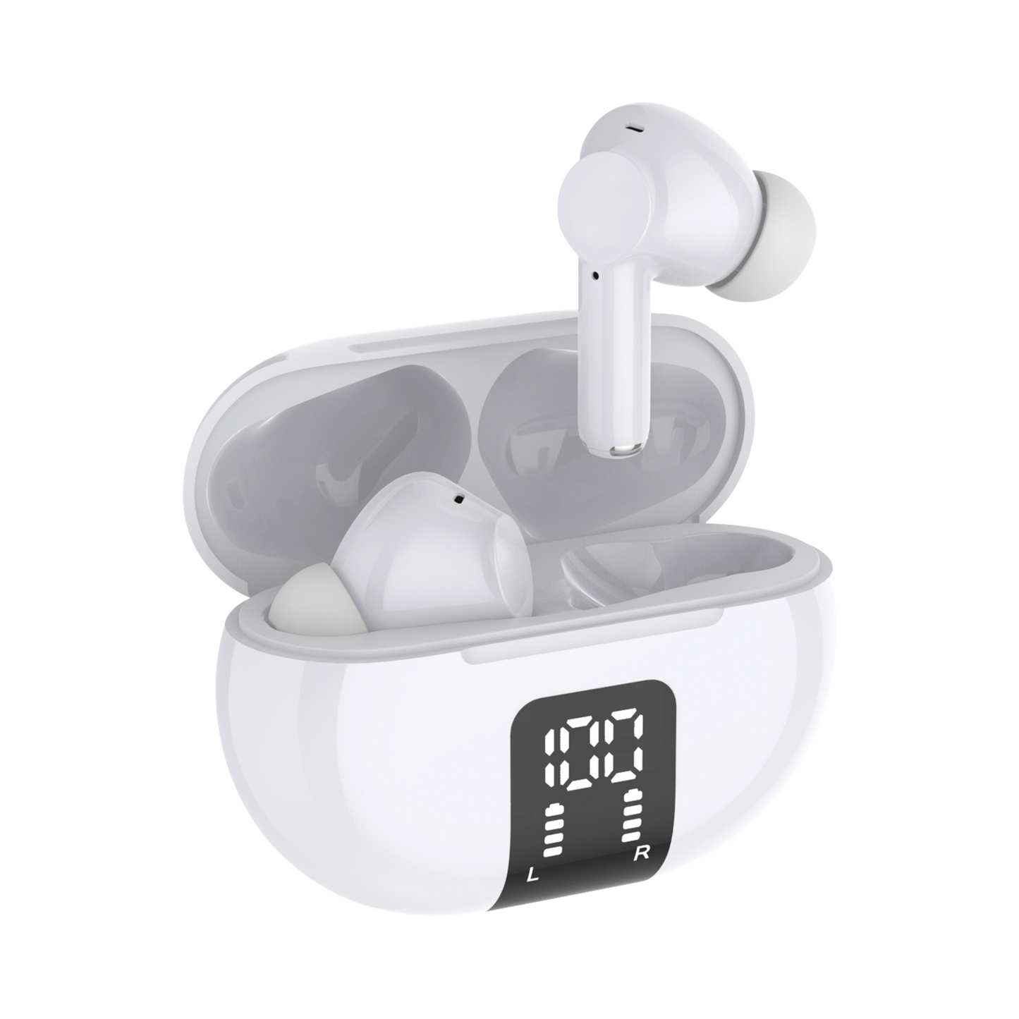True Wireless Earbuds with LCD Case