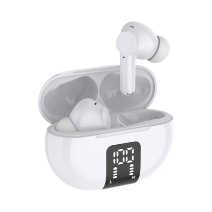 True Wireless Earbuds with LCD Case