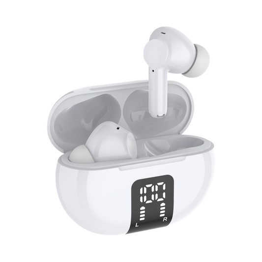 True Wireless Earbuds with LCD Case